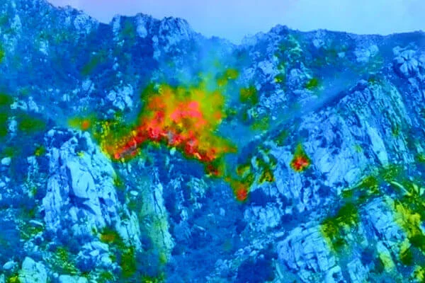 Forest Fire Prevention 2